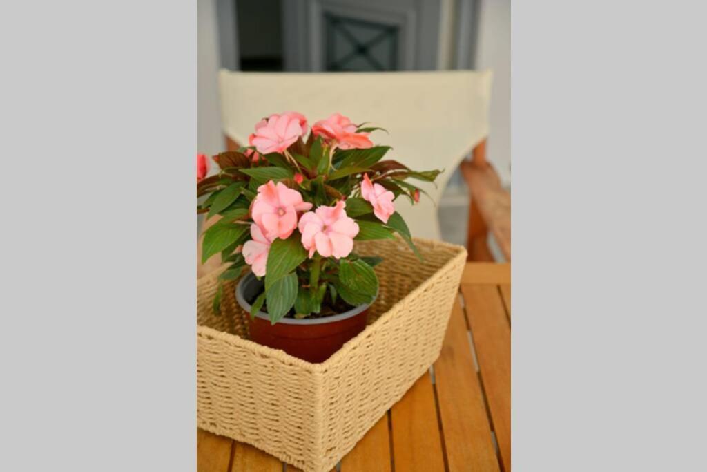 אדאמאס Alisahni Apartment מראה חיצוני תמונה